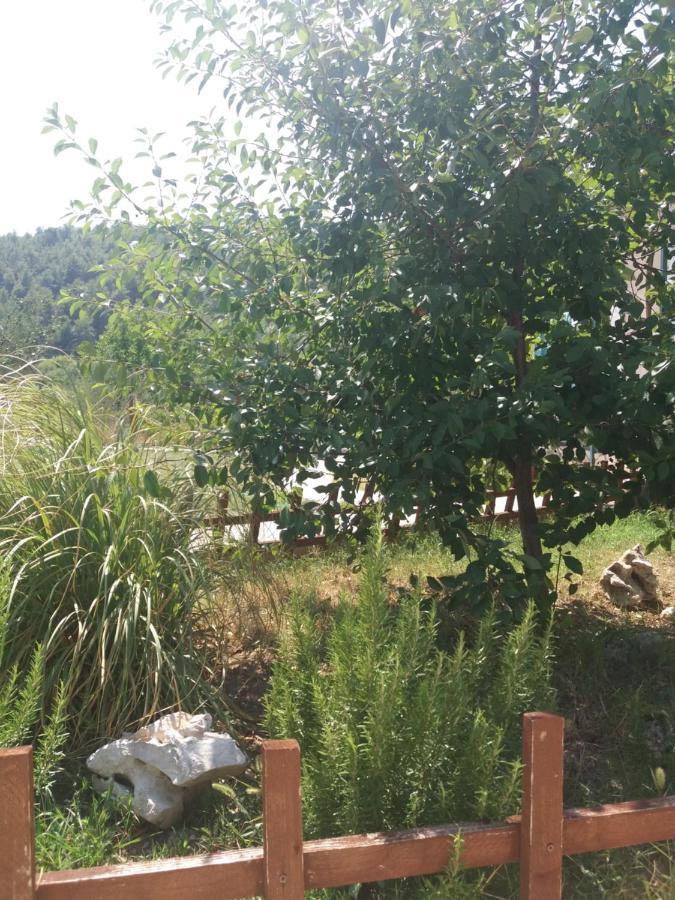 Banin Ξενοδοχείο Skradin Εξωτερικό φωτογραφία
