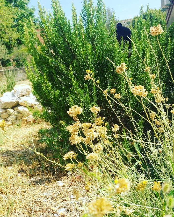 Banin Ξενοδοχείο Skradin Εξωτερικό φωτογραφία
