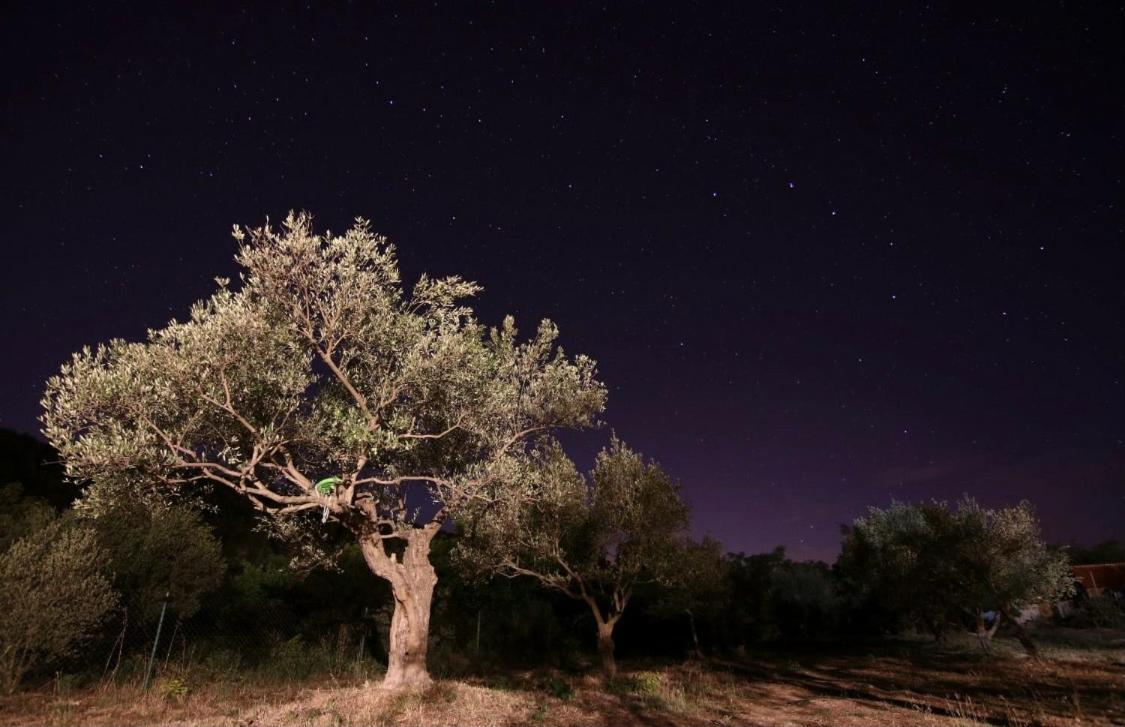 Banin Ξενοδοχείο Skradin Εξωτερικό φωτογραφία