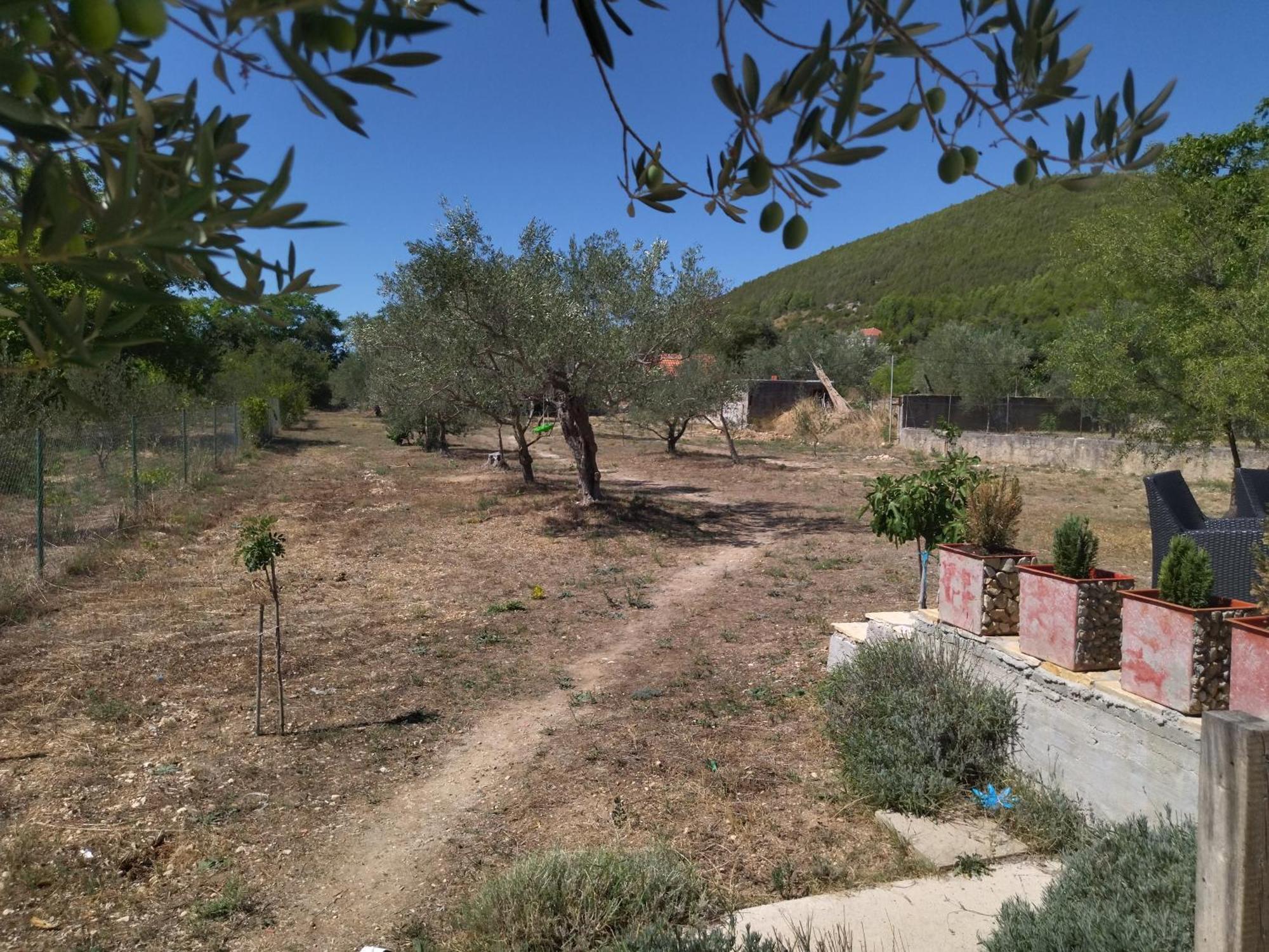 Banin Ξενοδοχείο Skradin Δωμάτιο φωτογραφία