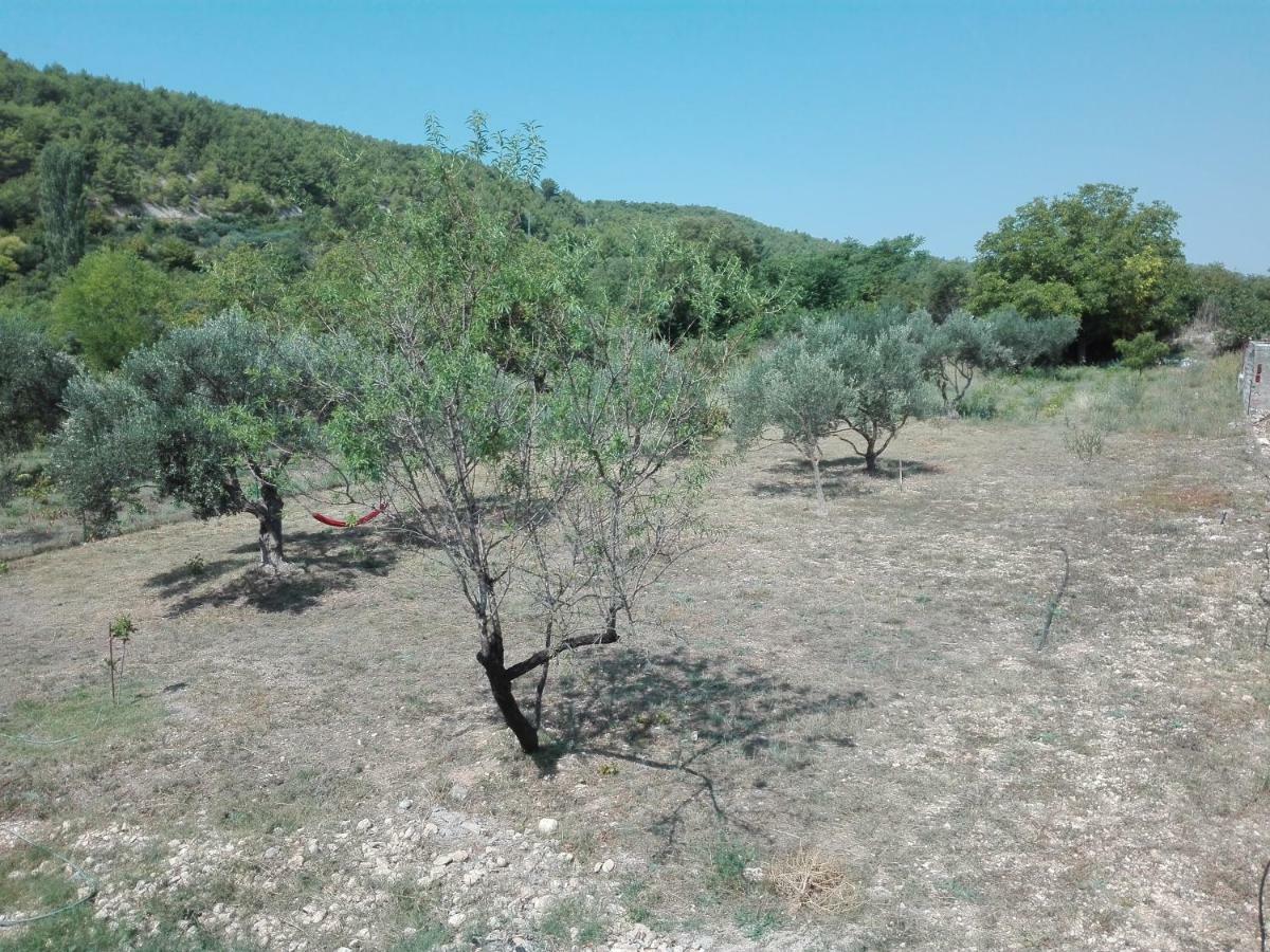 Banin Ξενοδοχείο Skradin Εξωτερικό φωτογραφία